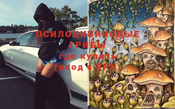 спиды Магас