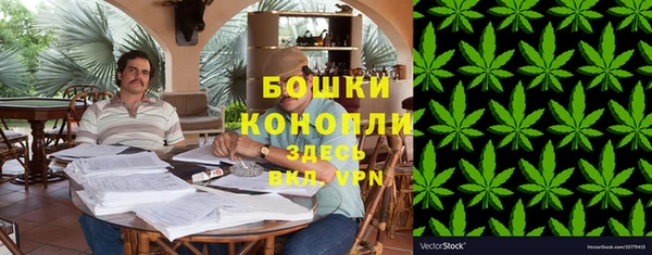 спиды Магас