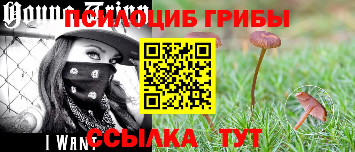Галлюциногенные грибы прущие грибы  Псилоцибиновые грибы Psilocybe  Воронеж  Вход с VPN 