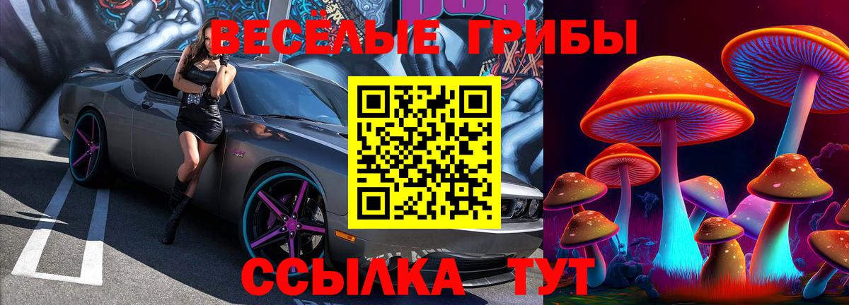Галлюциногенные грибы Magic Shrooms Воронеж